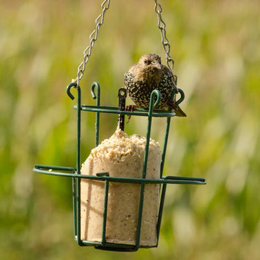 Bird Cakes & Log Feeders